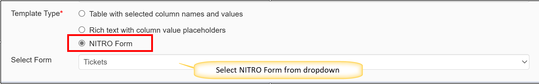 NITRO Form item print template